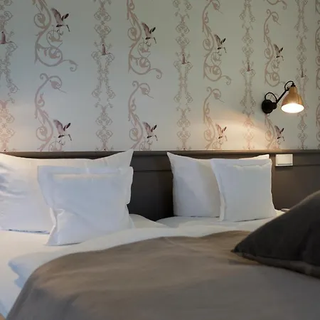 Aarnhoog 3* 카이톰